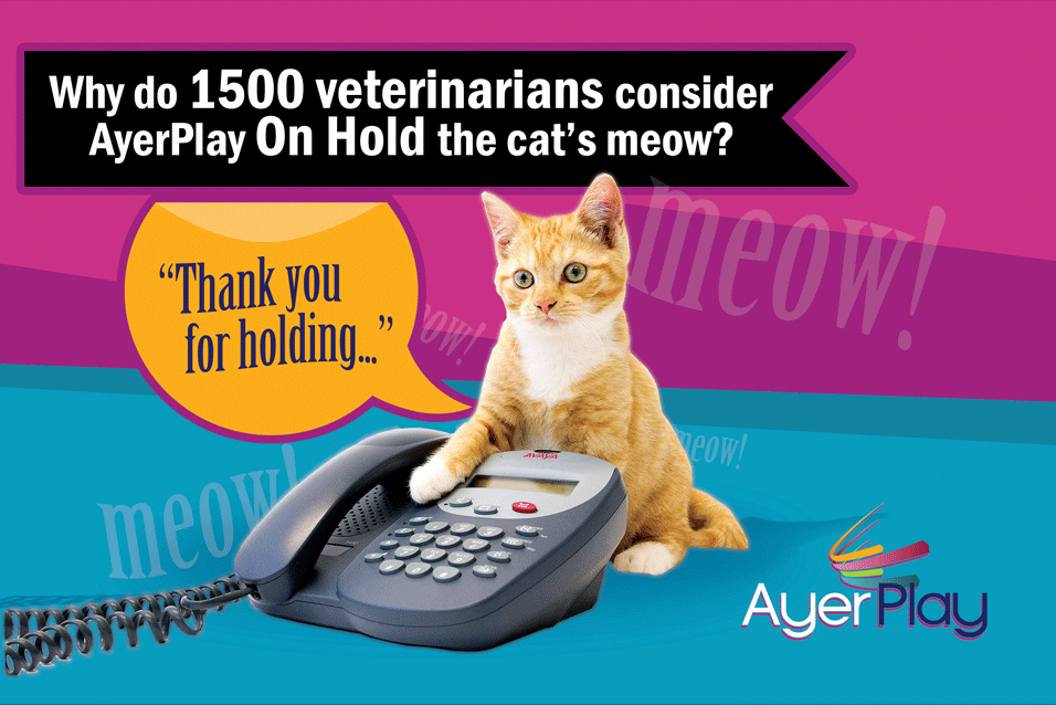 Value Of An On Hold Message In The Veterinary Industry